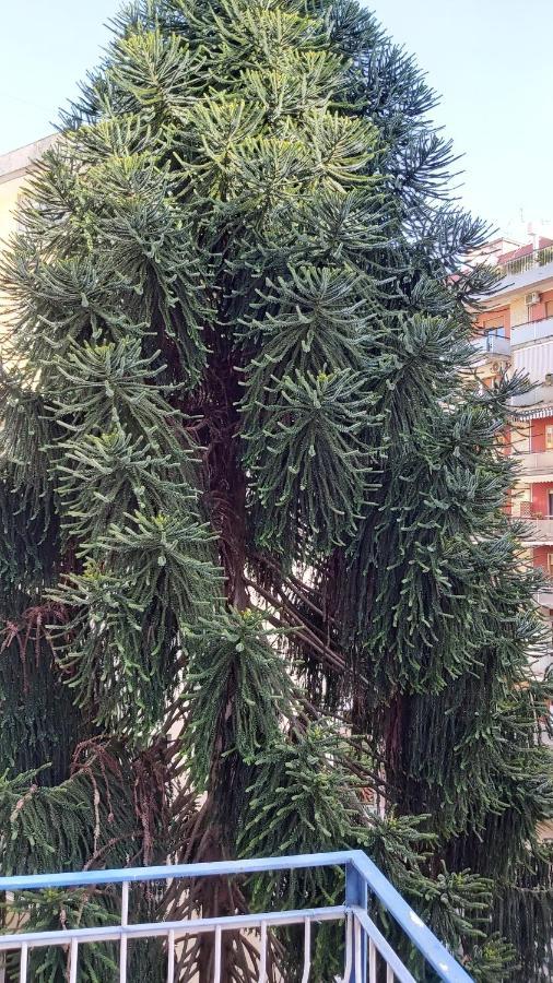La Casa Del Cedro Lejlighed Napoli Eksteriør billede